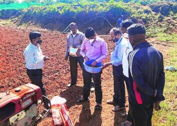 महाबळेश्‍वरमध्ये काळया गव्हाची पेरणी