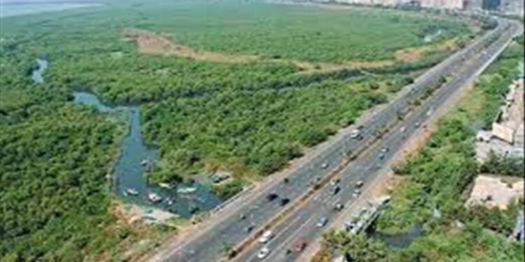 सिडकोतर्फे पाम बीच मार्गाचे विस्तारीकरण