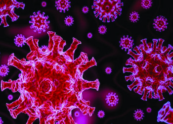 डेल्टा प्लस व्हेरियंट आणि निपाहचा धोका