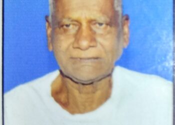 दामोदर घरत यांचे निधन