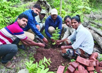फणसाड परिसरात वृक्षरोपण