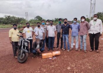 हातखंब्यात खवले मांजराचे खवले जप्त