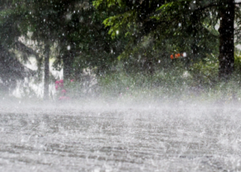 रत्नागिरी जिल्ह्याला पावसाने झोडपले