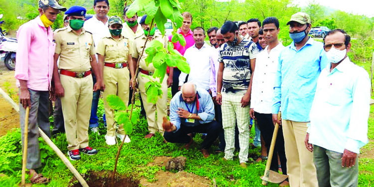शेलू येथे वृक्षारोपण