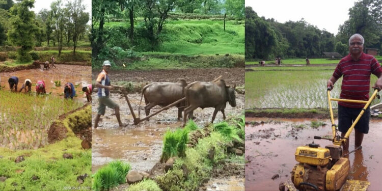 शेतकरी गुंतले शेतीच्या कामात