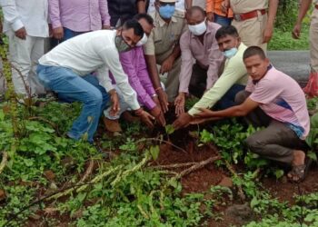 ऐनघर येथे वृक्षारोपणाचा कार्यक्रम साजरा