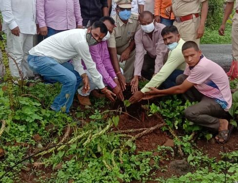 ऐनघर येथे वृक्षारोपणाचा कार्यक्रम साजरा