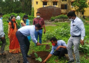 कुंटे बाग व वरसोली समुद्रकिनारी वडाच्या झाडांची लागवड