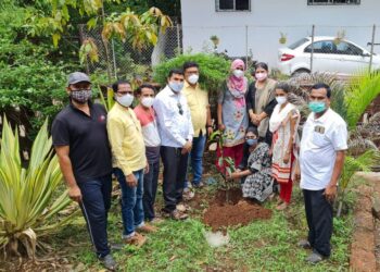 चिपळूण रोटरीतर्फे वृक्षारोपण