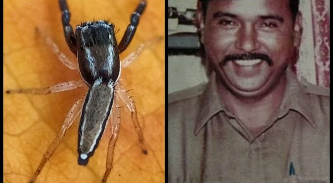 गौरवास्पद! कोळ्याच्या नव्या प्रजातीला दिलं ‘यांचं’ नाव