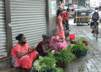 उरणमध्ये रानभाज्या दाखल