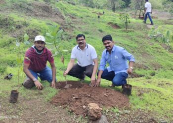 उरणमध्ये ‘एक कुटुंब, एक झाड’ संकल्पना