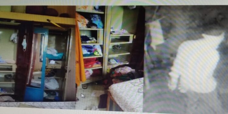 उमरोलीतील घरफोडीत चोरट्यांच्या हाती धत्तुरा