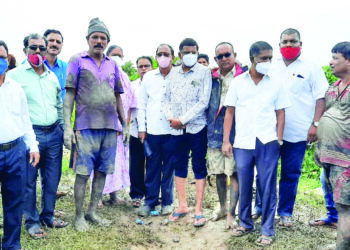 बहिरीचा पाड्यामधील खारलॅन्डची कामे करा