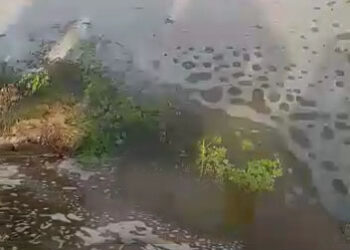 रिलायन्स आयपीसीएल कंपनीच्या सांडपाण्याने केला घात