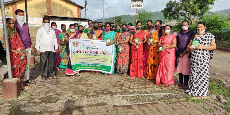 महिला वर्गास भाजीचे बियाणे वाटप