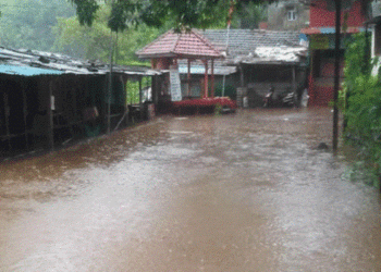 पावसाच्या तडाख्याने जिल्ह्यात हजारोंचे नुकसान