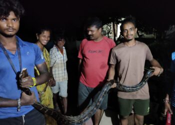 सुधागड तालुक्यात ‘यांना’ मिळाले  जीवनदान