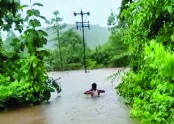 महावितरणच्या कर्मचार्यांची दमदार कामगिरी ;  पुराच्या पाण्यातून मार्ग काढत वीजपुरवठा सुरळीत