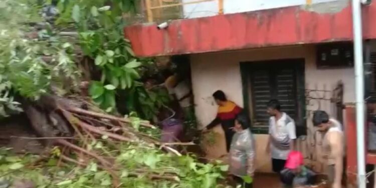 रायगड मधील राजपुरी येथे दरड कोसळली; ४ घरांचे नुकसान !