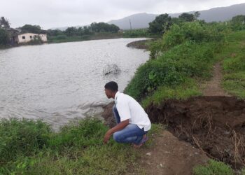 बहिरिचापाडा गावसंरक्षण बंधरा फुटल्याने उधानाचे खारेपाणी गावाभोवताली