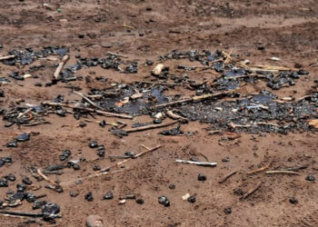 मुरुडच्या समुद्र किनारी डांबर सदृश्य ऑईल