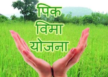 पीकविमा योजनेला मुदतवाढ द्या ; राज्य सरकारचा केंद्राकडे प्रस्ताव