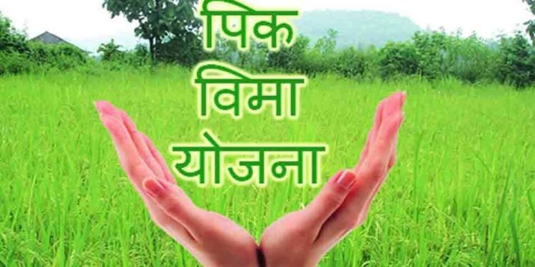 पीकविमा योजनेला मुदतवाढ द्या ; राज्य सरकारचा केंद्राकडे प्रस्ताव