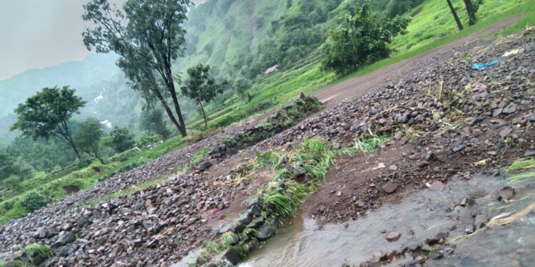 दोन दिवसांत लावलेली शेती गायब