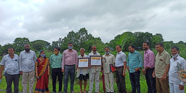 शेतकर्‍यांचा शेताच्या बांधावर सन्मान