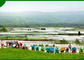 शेतकर्‍यांसाठी सुवर्णसंधी! कृषी अधिकार्‍यांनी केले आवाहन