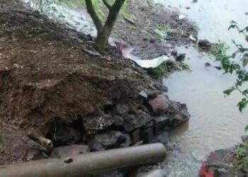 अतिवृष्टीमुळे पत्रकार संतोष पाटील यांचे लाखो रुपयांचे नुकसान