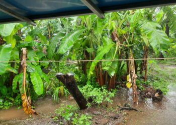 श्रीवर्धनमध्ये मुसळधार पाऊस; भट्टीचा माळ येथे भिंत  कोसळली