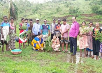 वाडगाव येथे वृक्षारोपण