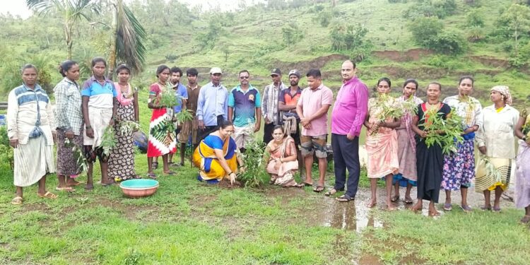 वाडगाव येथे वृक्षारोपण