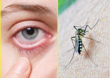 देशात घोंघावतंय झिका व्हायरसचं संकट