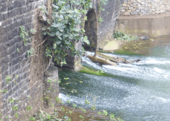 चिकणी पुलाचे काम वेळेत पूर्ण व्हावे