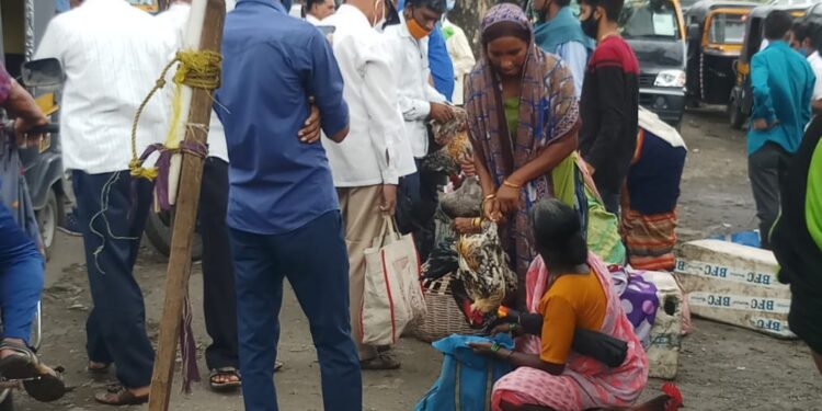 गटारीच्या निमित्ताने लाखो रुपयांची उलाढाल