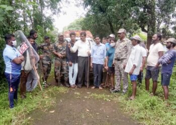 कौंढर ताम्हणे परिसरात पट्टेरी वाघाचे दर्शन ; गावात भीतीचे वातावरण