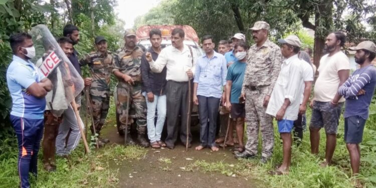 कौंढर ताम्हणे परिसरात पट्टेरी वाघाचे दर्शन ; गावात भीतीचे वातावरण