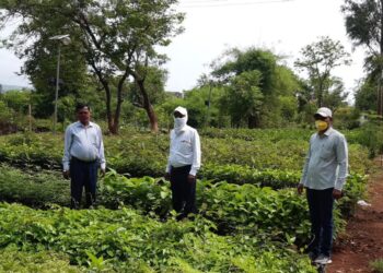 वन महोत्सव काळात सामाजिक वनीकरण विभागाकडून सवलतीच्या दरात रोप