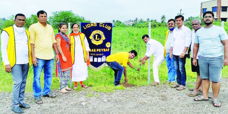 लायन्स क्लब ऑफ पोयनाडतर्फे वृक्षारोपण