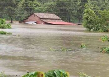 महापुराचे खापर सरकारी खात्यांवर