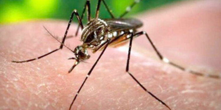 महाराष्ट्रात झिका व्हायरसचा शिरकाव