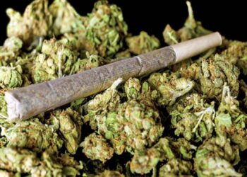 गांजासह तरुणास अटक