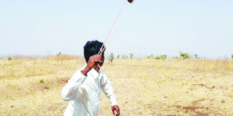 बळीराजाची गोफण वर्ल्ड कपमध्ये घुमणार