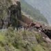 हिमाचलमध्ये प्रवासी बसवर डोंगरकडा कोसळला