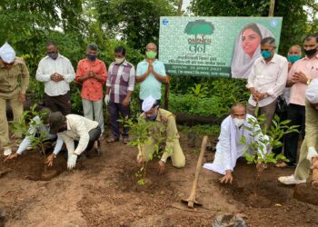 संत निरंकारी मिशनचा रायगडात नागरी वृक्ष समूह