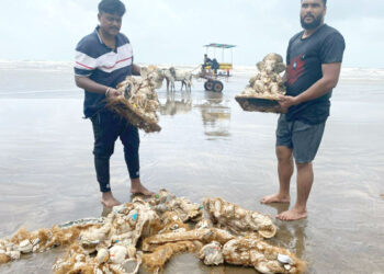 नागांवच्या तीन युवकांनी केले गणेश मूर्तींचे पुनःश्‍च विसर्जन