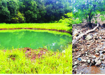 पाणी पुरवठा योजना निधीच्या प्रतिक्षेत